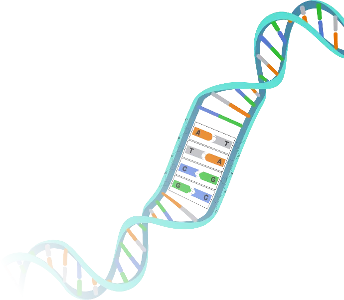 Sophisticated Laboratory DNA Analysis