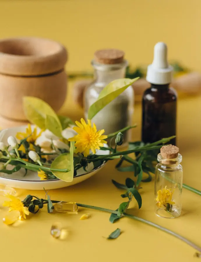 To achieve the holistic approach learn more about our methods and techniques in utilizing dental herbs in your dental health routine to prevent, and reverse dental & gum disease.